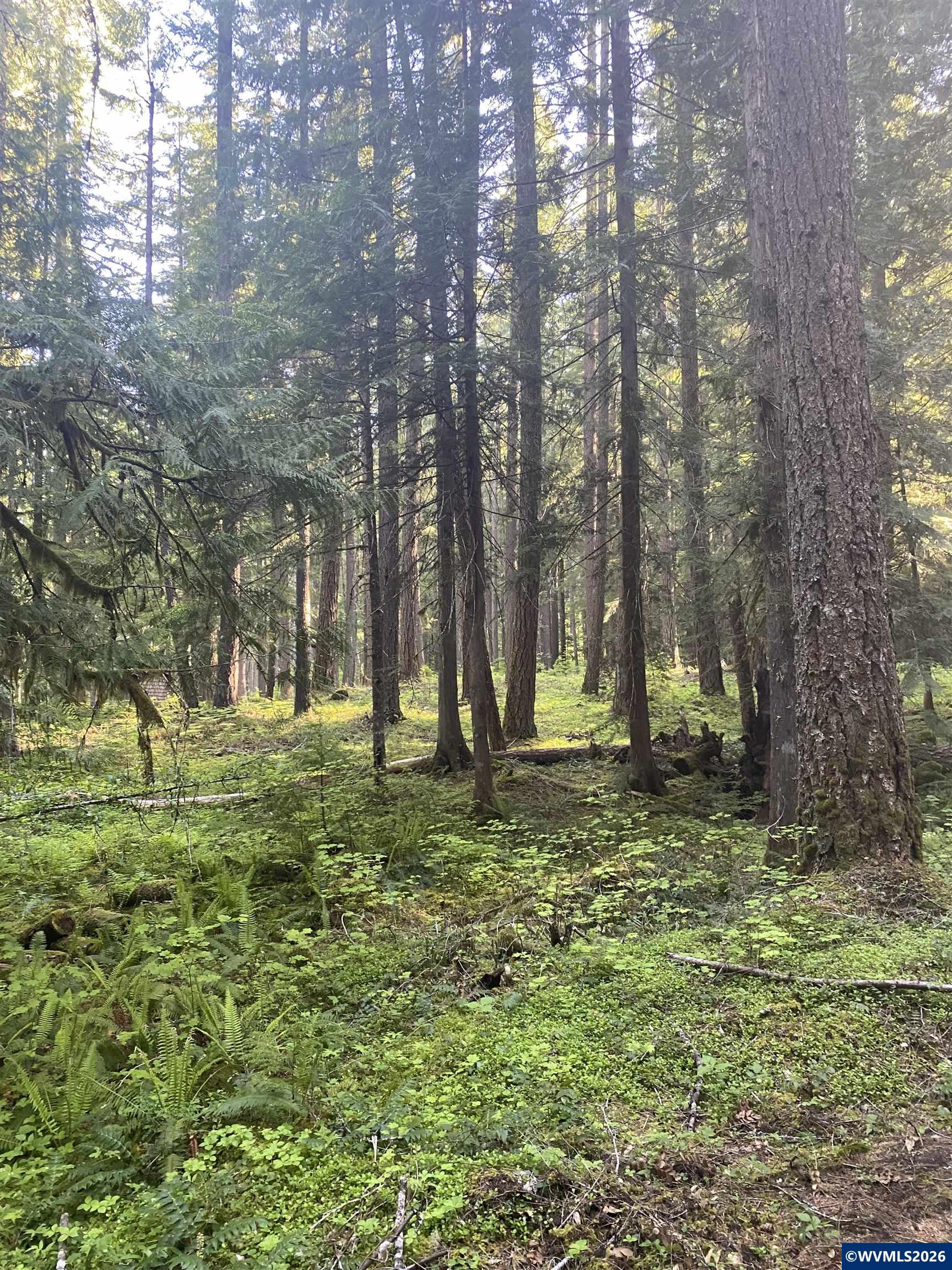 18 Marion Lake Road Idanha, OR 97350 - Photo 9 of 15
