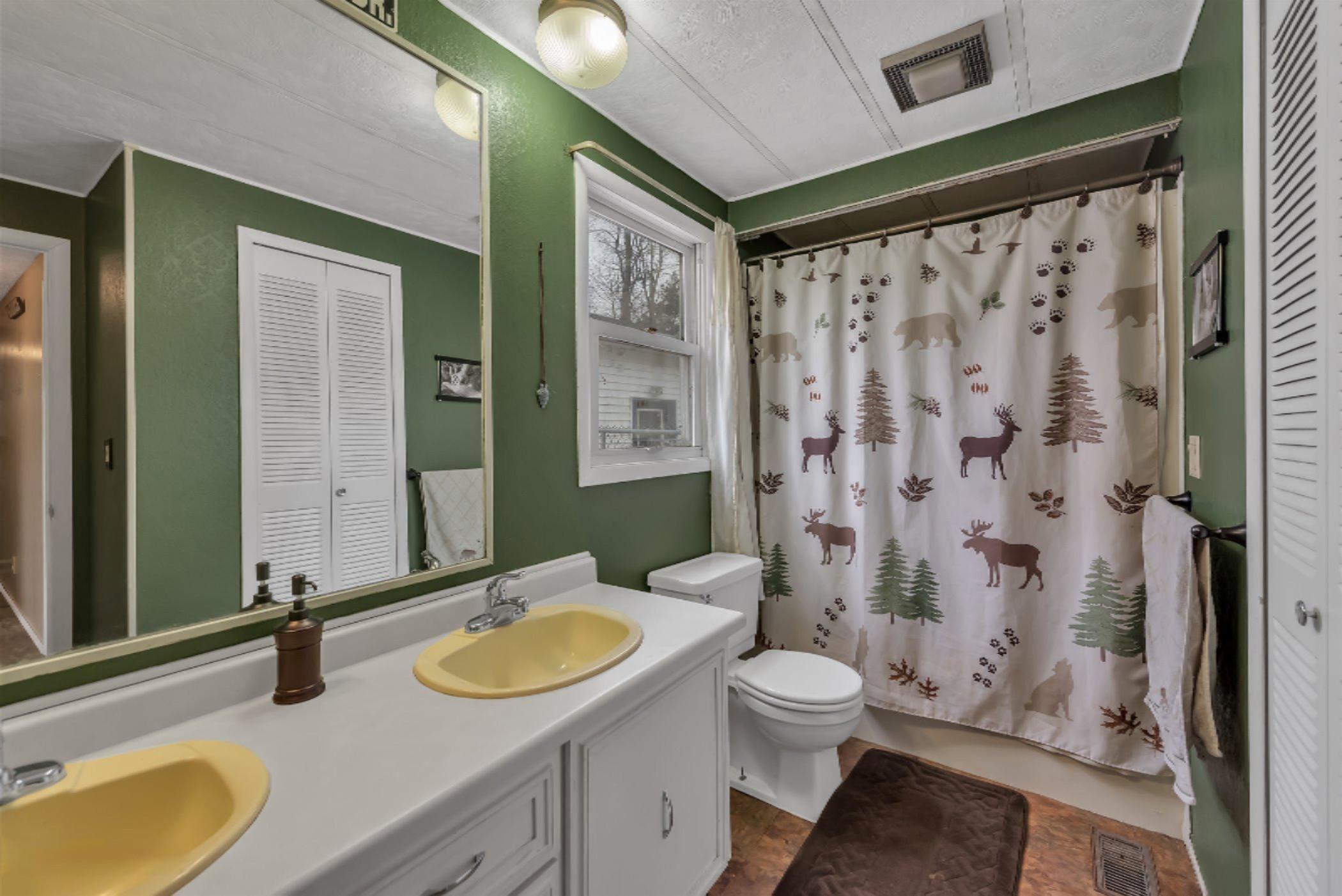 5259 Mt Hope Road Carson City, MI 48811 - Photo 26 of 44 26-5259 S Mt Hope Rd-windowstill-re