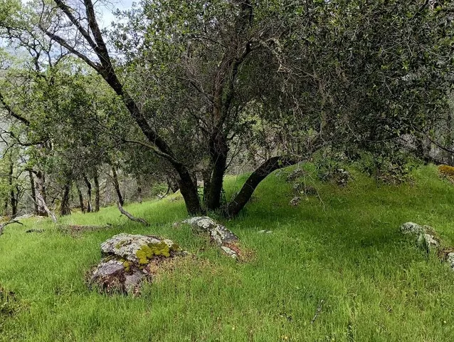 a view of an ocean and beach