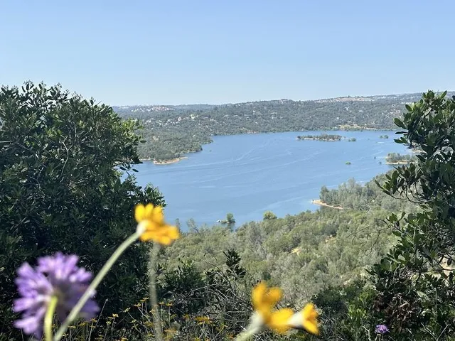 an aerial view of a house with a yard basket ball court and outdoor seating