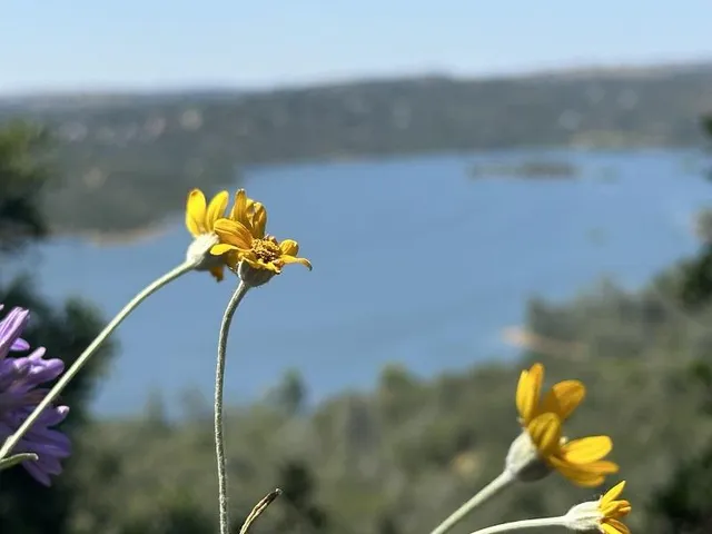 an aerial view of a city with lots of residential buildings