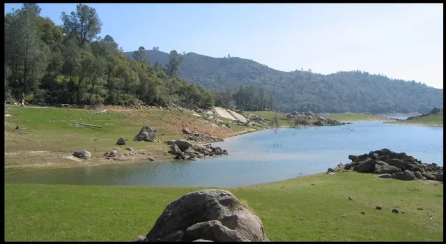 a view of a park with trees in the background