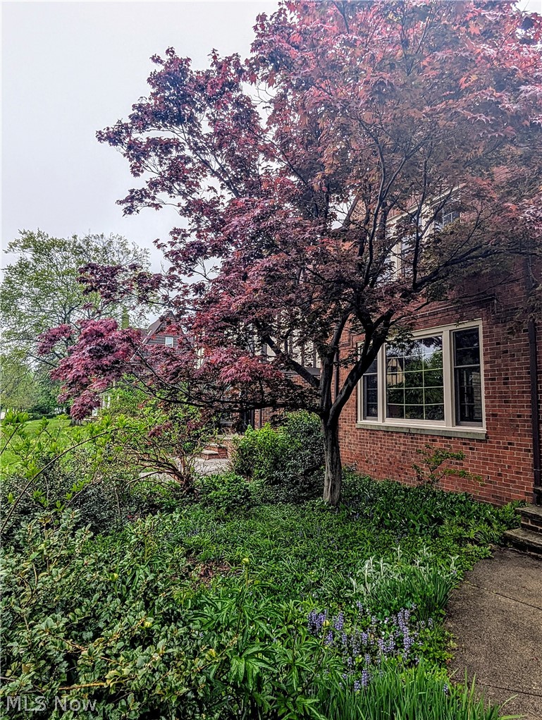 3557 Normandy Road Shaker Heights, OH 44120 - Photo 28 of 36 Mature trees with vibrant foliage frame a traditional brick exterior featuring multiple windows with dark trim