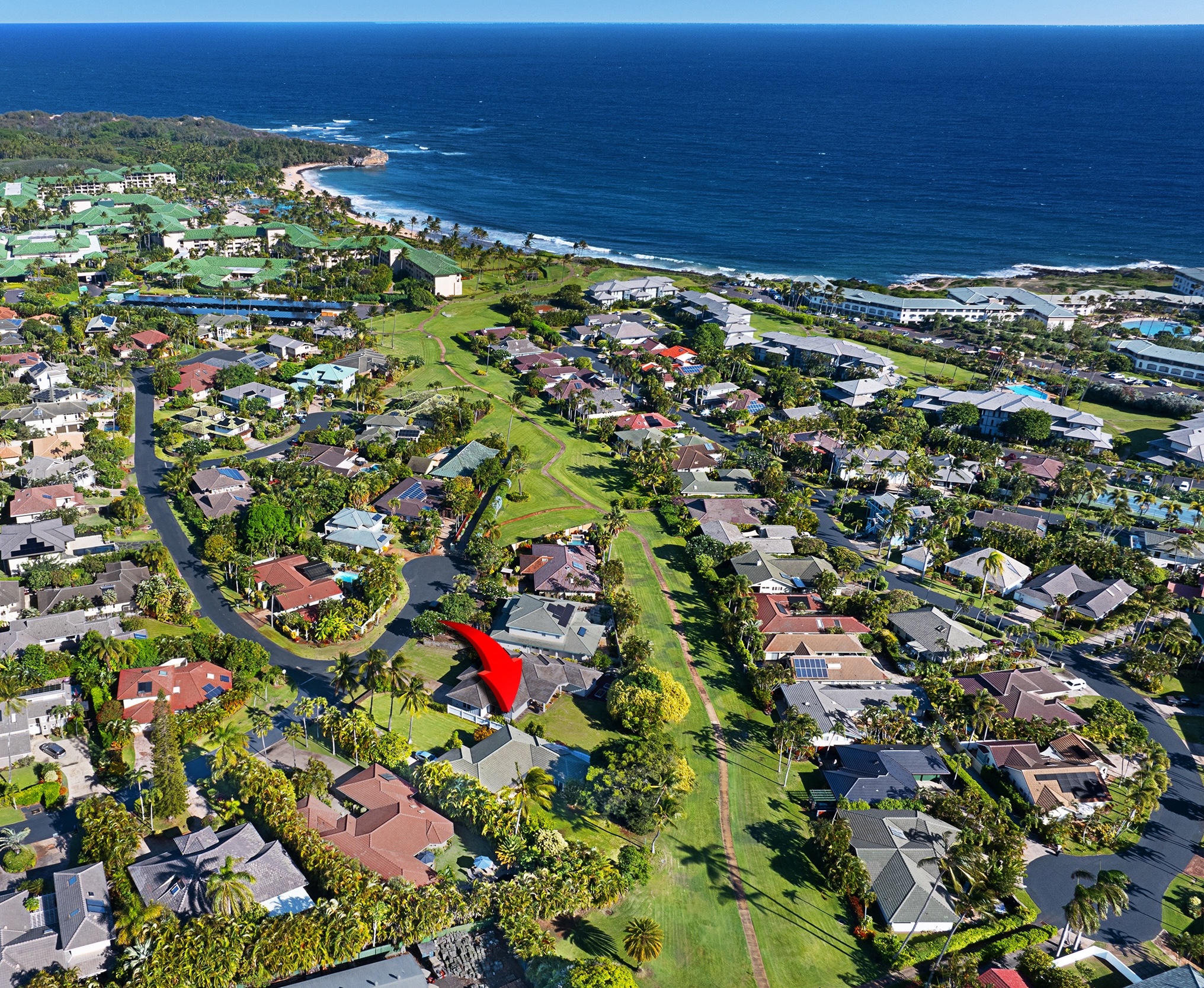 2255 Loke Road Koloa, HI 96756 - Photo 14 of 17 a view of a large tree