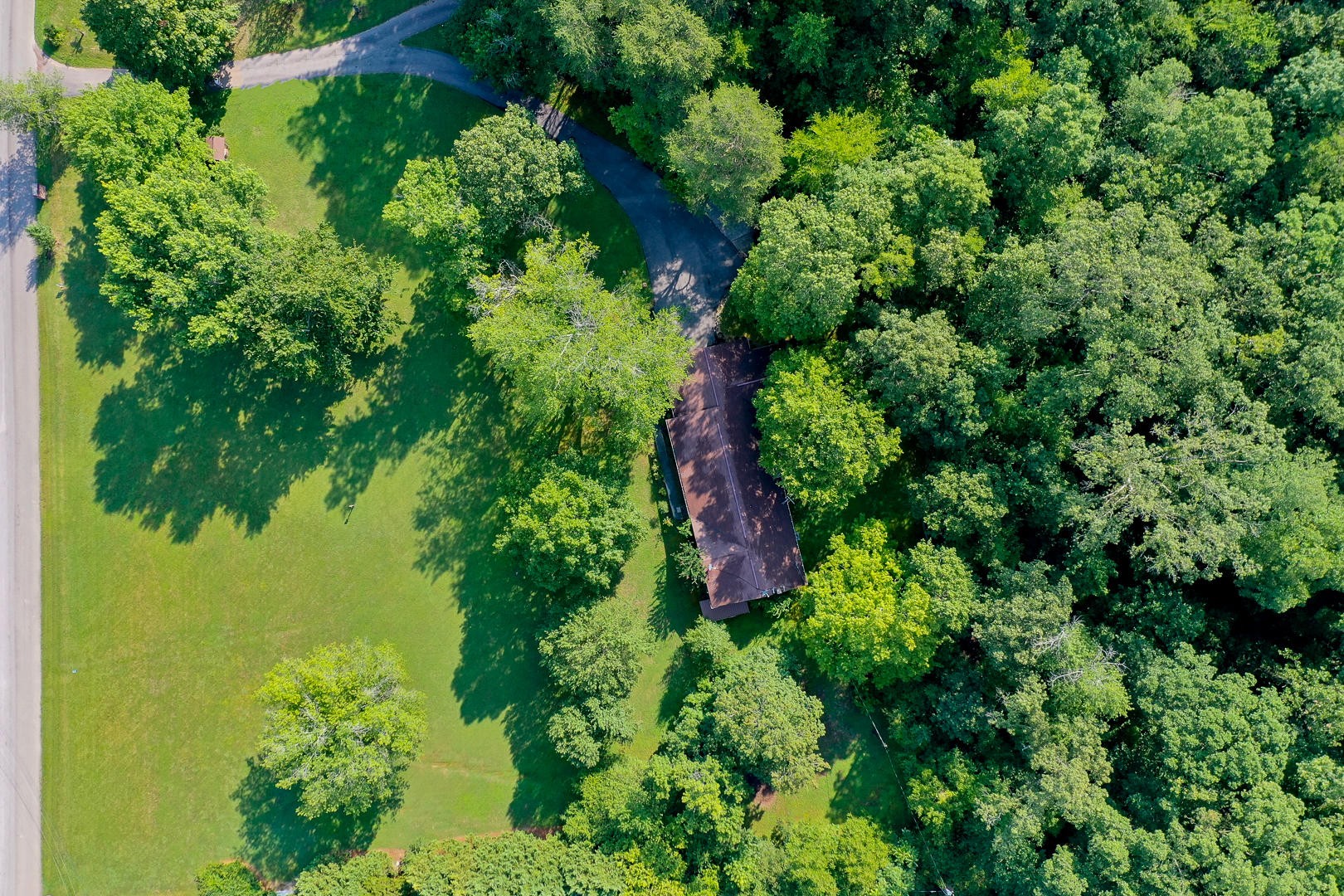 1295 Craigs Chapel Road Greenback, TN 37742 - Photo 8 of 13 Gallery Image 8