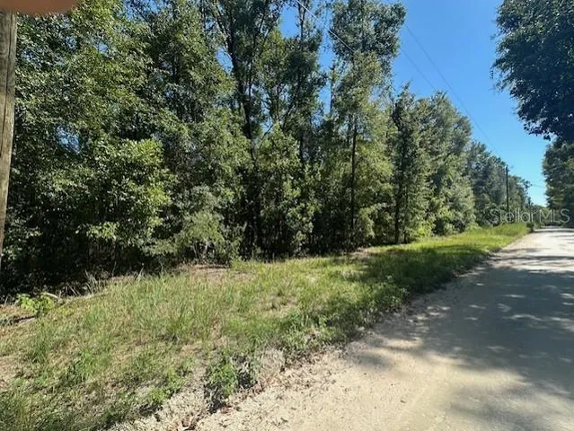 a view of outdoor space and yard