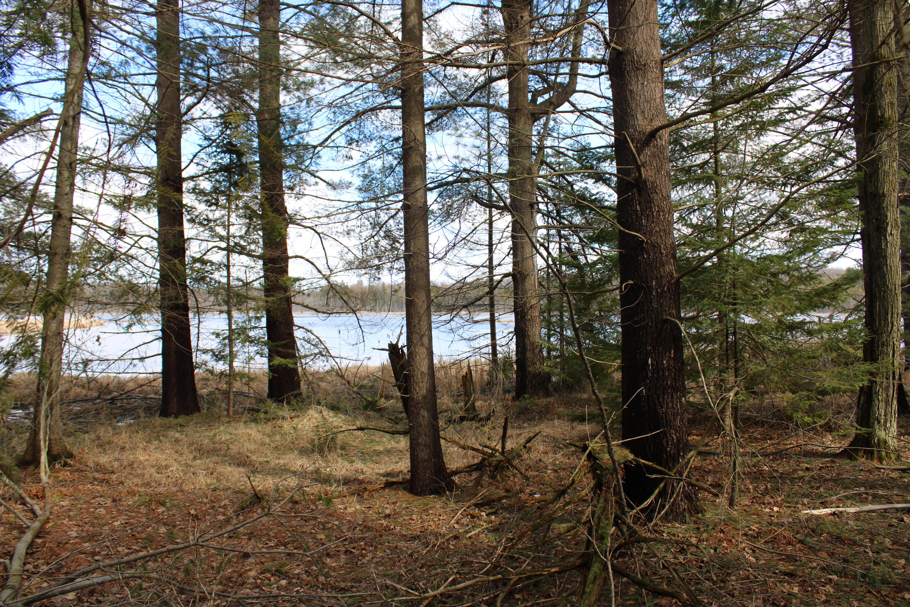 Chris Road Barton City, MI 48705 - Photo 2 of 3 IMG_5643