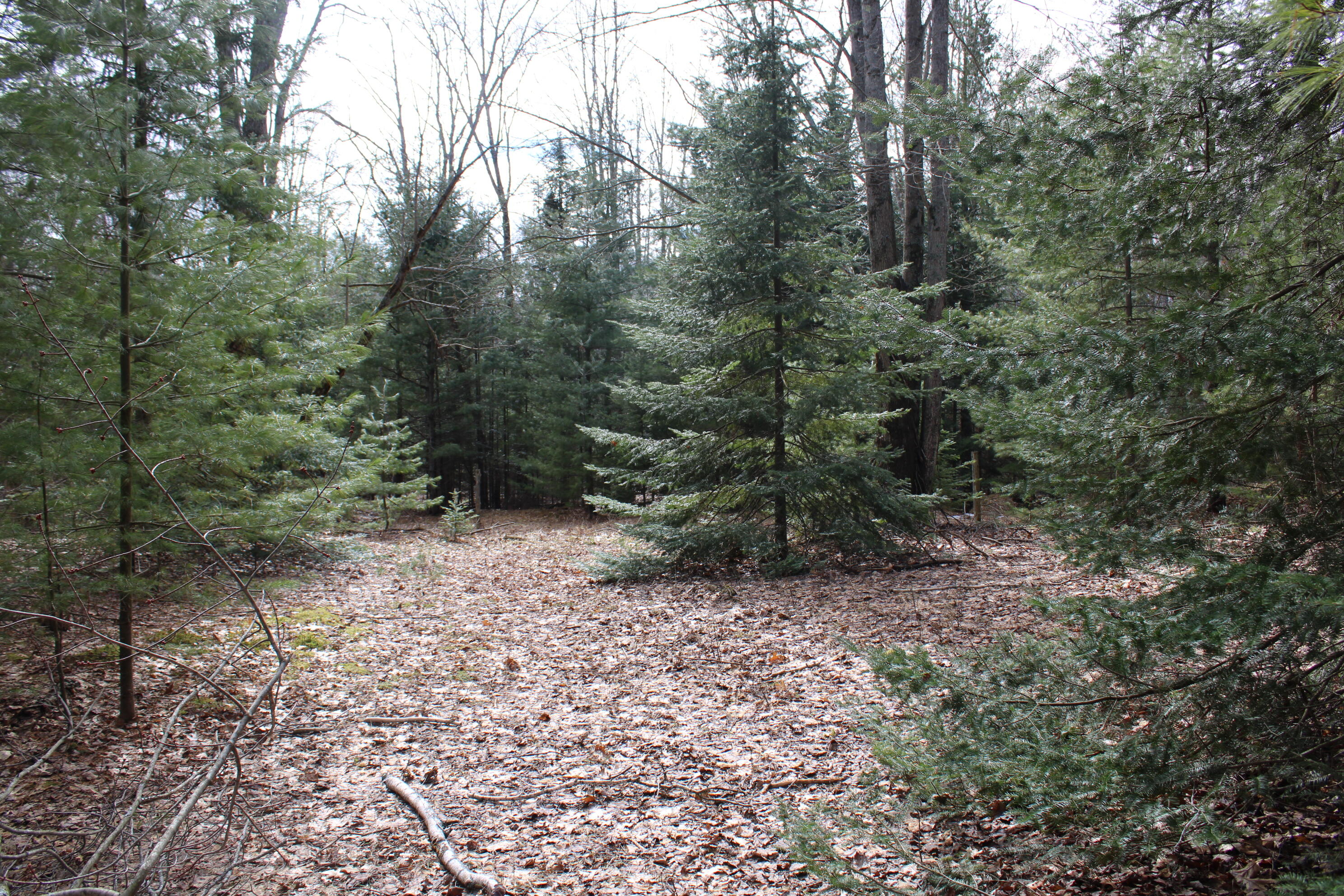 Chris Road Barton City, MI 48705 - Photo 3 of 3 IMG_5646