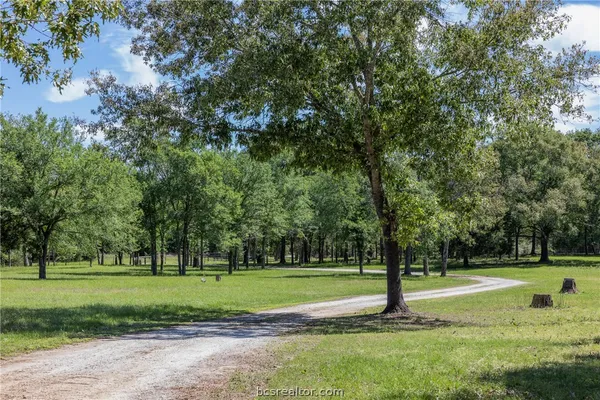 a view of a park with tree s