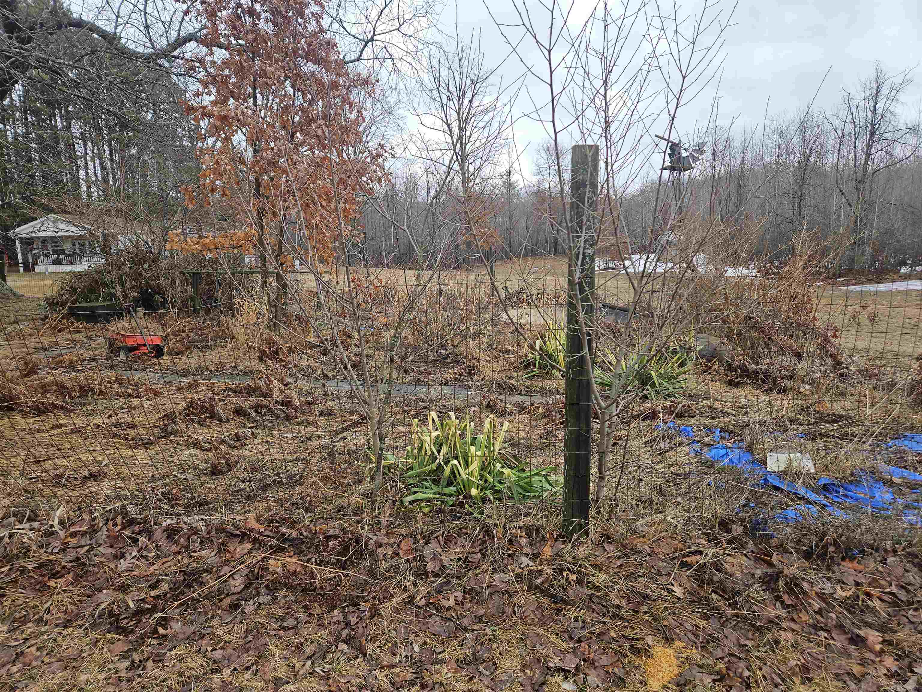 4191 West Arthur Road Harrison, MI 48625 - Photo 22 of 44