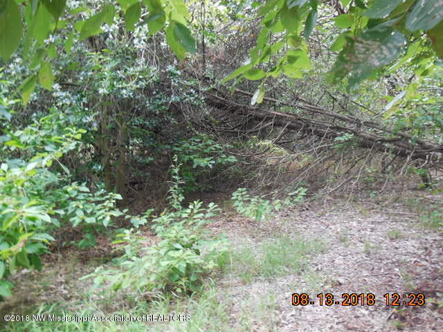 2147 Kelly Crossing Road Coldwater, MS 38618 - Photo 3 of 20 DSCN2154
