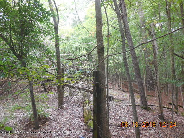 2147 Kelly Crossing Road Coldwater, MS 38618 - Photo 4 of 20 DSCN2156