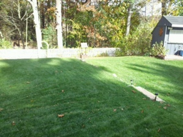 5 Harvard Road Billerica, MA 01821 - Photo 8 of 29 a view of yard with green space