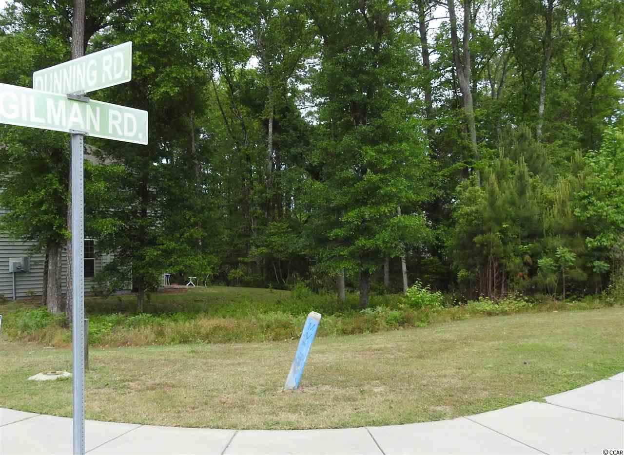 178 Dunning Road Pawleys Island, SC 29585 - Photo 2 of 12 Gallery Image 2