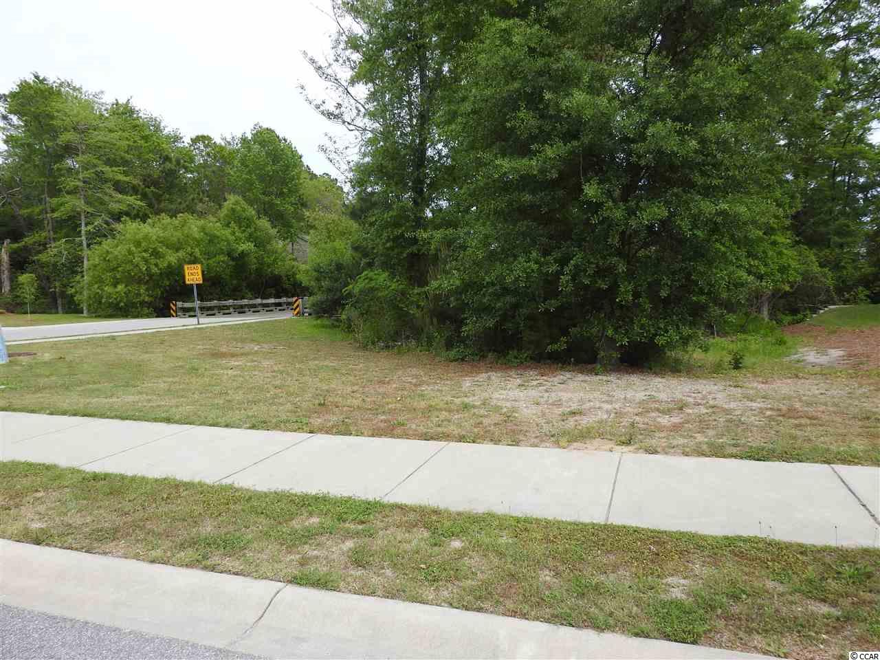 178 Dunning Road Pawleys Island, SC 29585 - Photo 3 of 12 Gallery Image 3