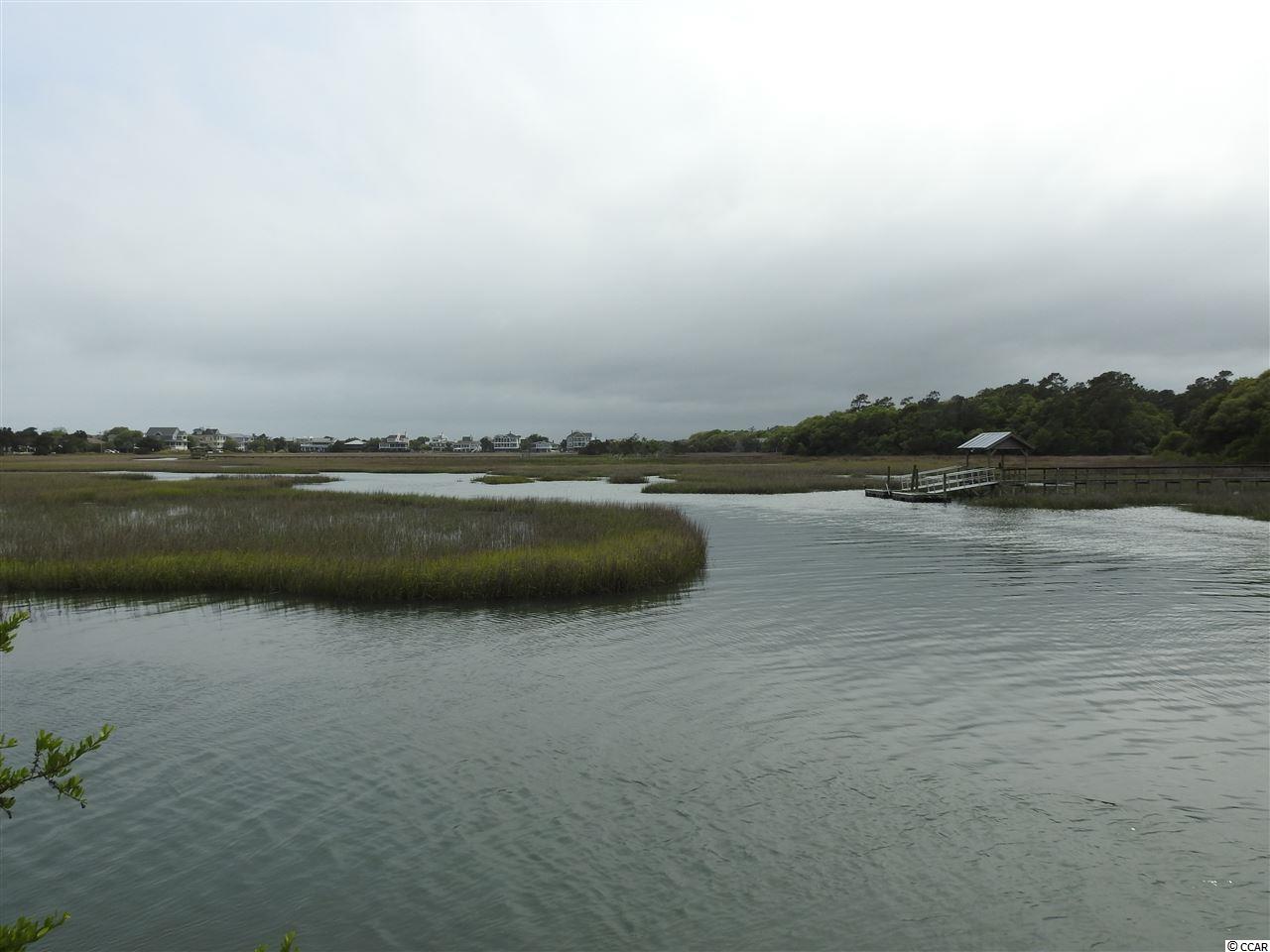 178 Dunning Road Pawleys Island, SC 29585 - Photo 8 of 12 Gallery Image 8