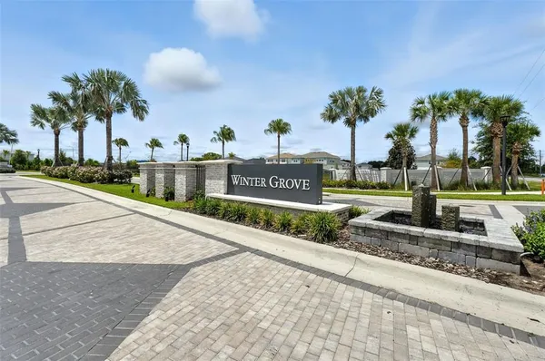 a view of a street with palm trees