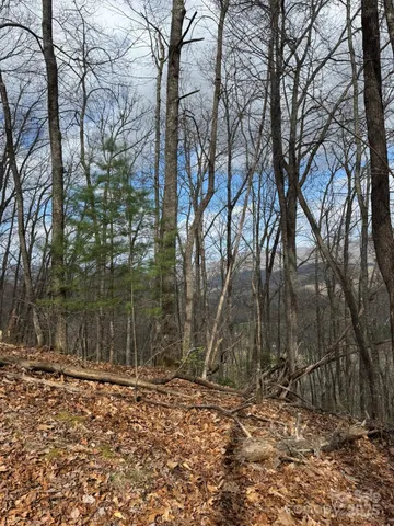 $580,000 | 0 East Wabash Drive, Sylva, NC 28779