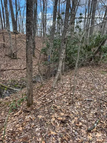 $580,000 | 0 East Wabash Drive, Sylva, NC 28779