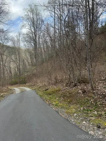 $580,000 | 0 East Wabash Drive, Sylva, NC 28779