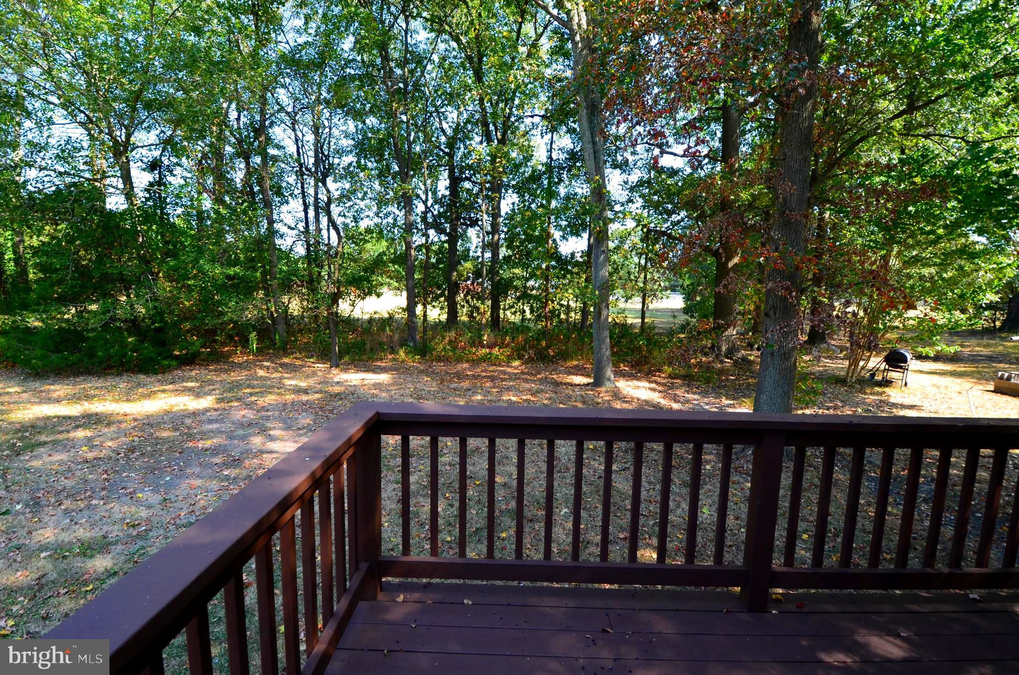 6021 Drum Point Road Deale, MD 20751 - Photo 18 of 53 Rear yard
