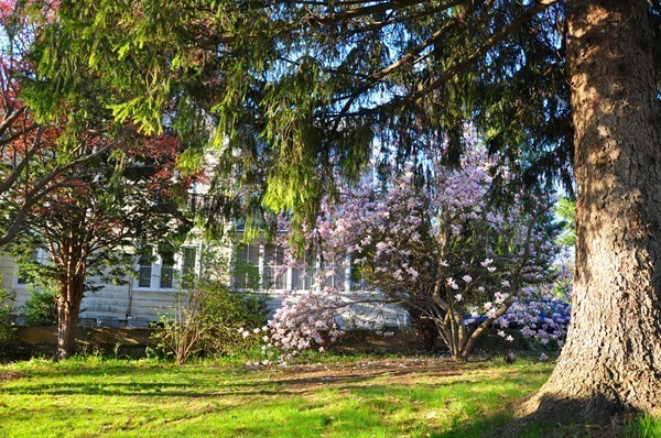 2 Postfield Road Canton, MA 02021 - Photo 14 of 21 Gallery Image 14