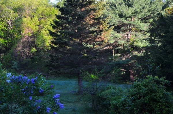 2 Postfield Road Canton, MA 02021 - Photo 16 of 21 Gallery Image 16