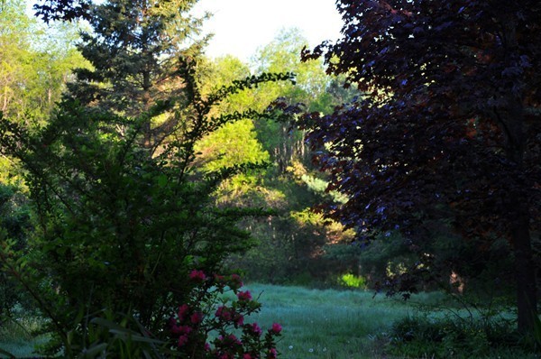2 Postfield Road Canton, MA 02021 - Photo 18 of 21 Gallery Image 18