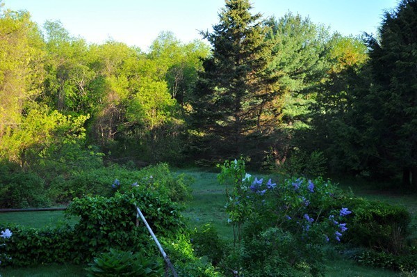 2 Postfield Road Canton, MA 02021 - Photo 20 of 21 Gallery Image 20