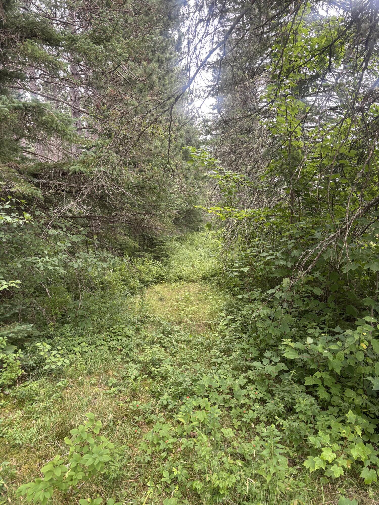 64 Ip Road Stratton, ME 04982 - Photo 51 of 56