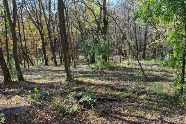 $588,000 | 14919 Cedardale Road, Paynesville, MN 56362