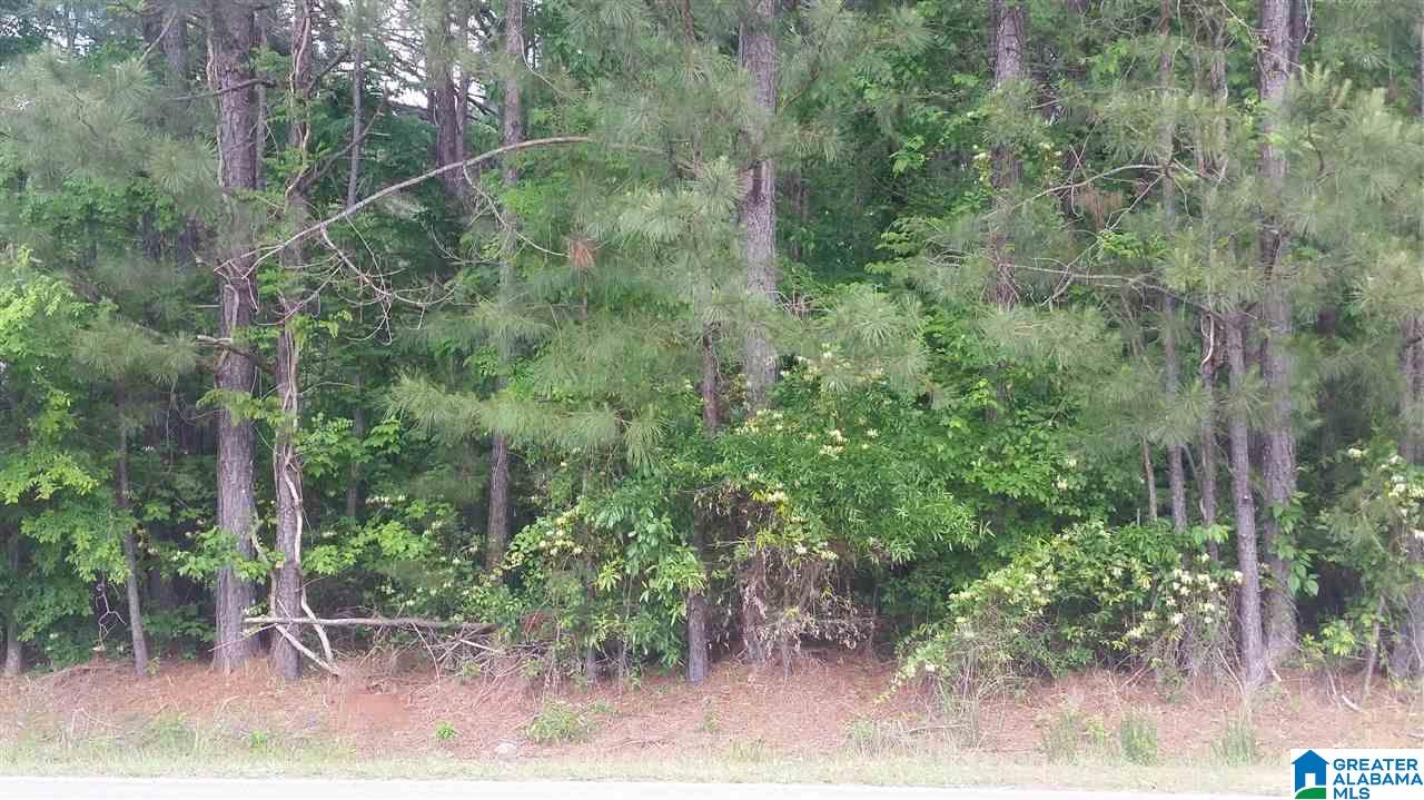 3527 McIntosh Road, Unit 12 Oxford, AL 36203 - Photo 16 of 16