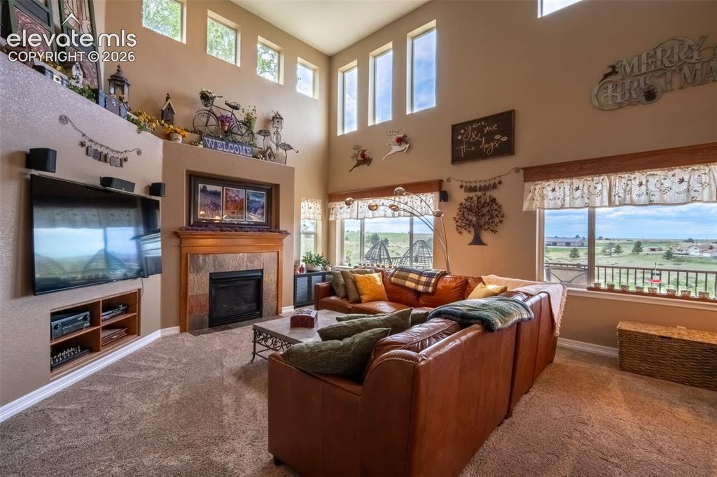 2385 Antelope Ridge Trail Parker, CO 80138 - Photo 25 of 47 FIREPLACE LIVING ROOM
