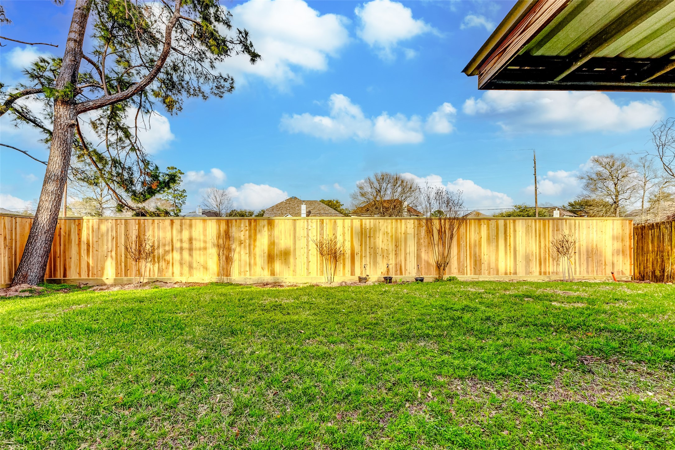 23922 Spring Dane Drive Spring, TX 77373 - Photo 23 of 26