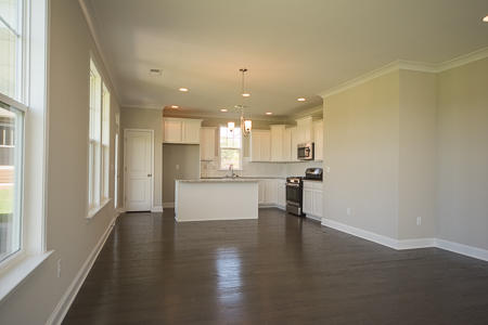 423 Ambergate Lane Moncks Corner, SC 29461 - Photo 19 of 32 Open Concept