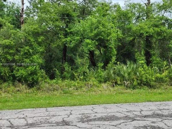 a view of a yard