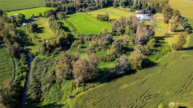a view of a yard with plants