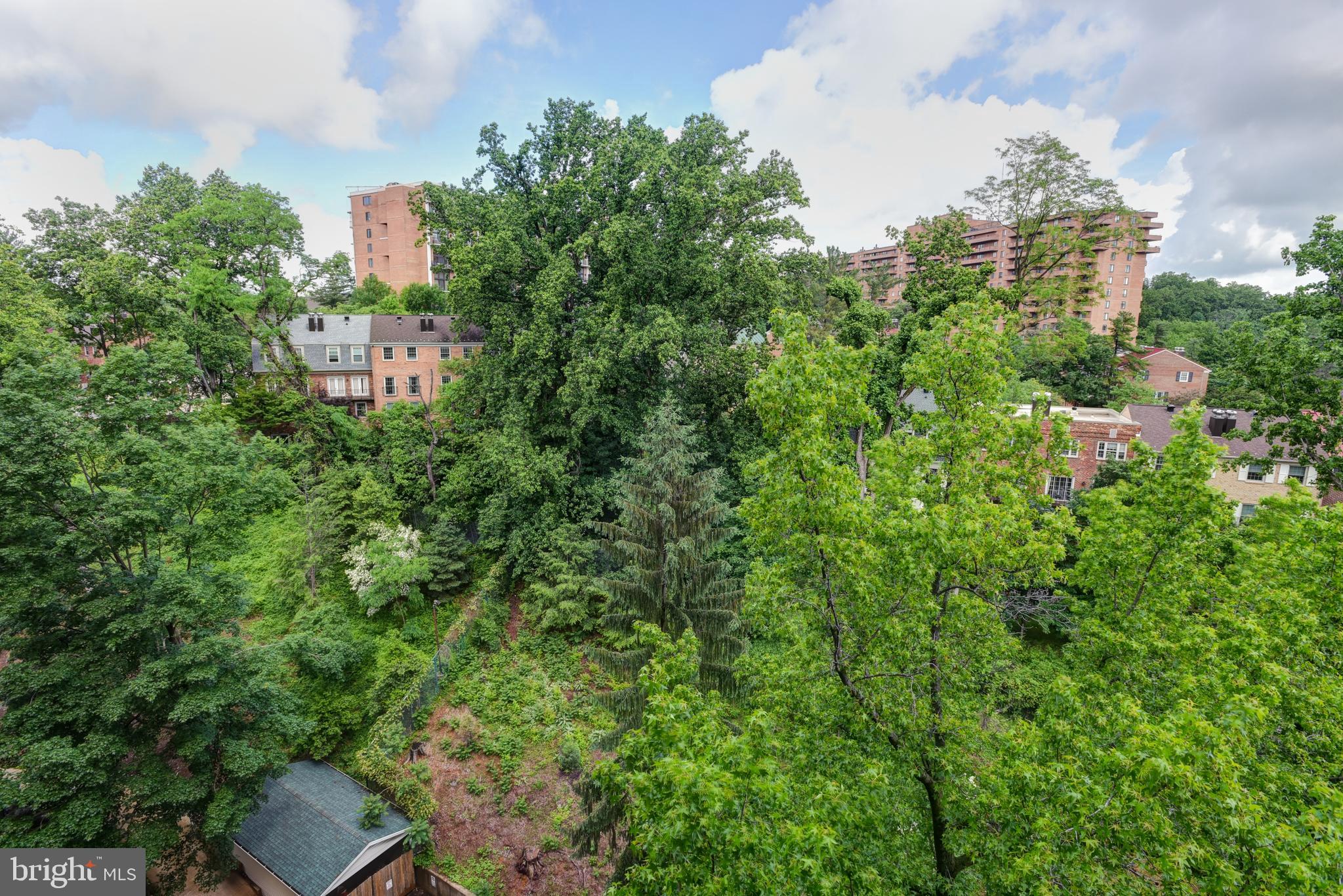 4201 Cathedral Avenue Northwest, Unit 1004E Washington, DC 20016 - Photo 44 of 69 a view of a city with lush green forest