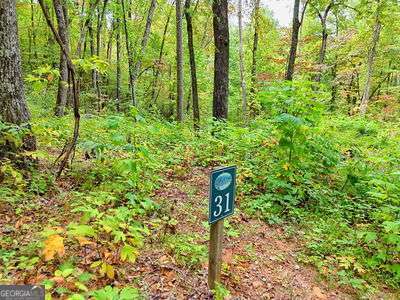 Lot 31 Skyview Drive Hayesville, NC 28904 - Photo 1 of 11 a sign that is sitting in front of a tree