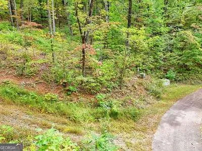 a view of a garden with plants