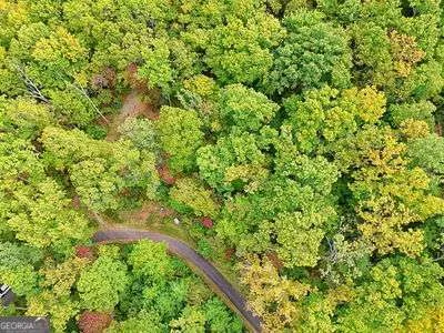 a city view with a lush green forest