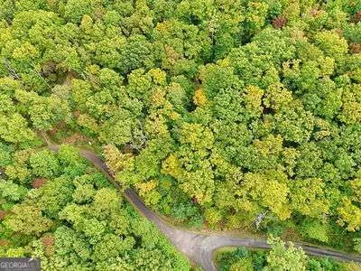 a view of a garden with pathway