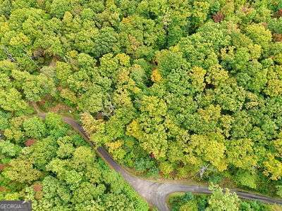 Lot 31 Skyview Drive Hayesville, NC 28904 - Photo 9 of 11 a view of a lush green forest with a tree
