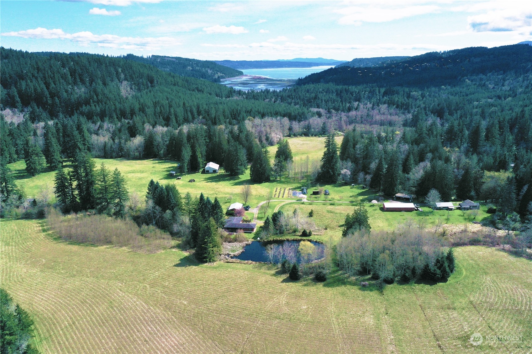 175 Dabob Post Office Road Quilcene, WA 98376 - Photo 1 of 40 a view of backyard with outdoor seating and green space