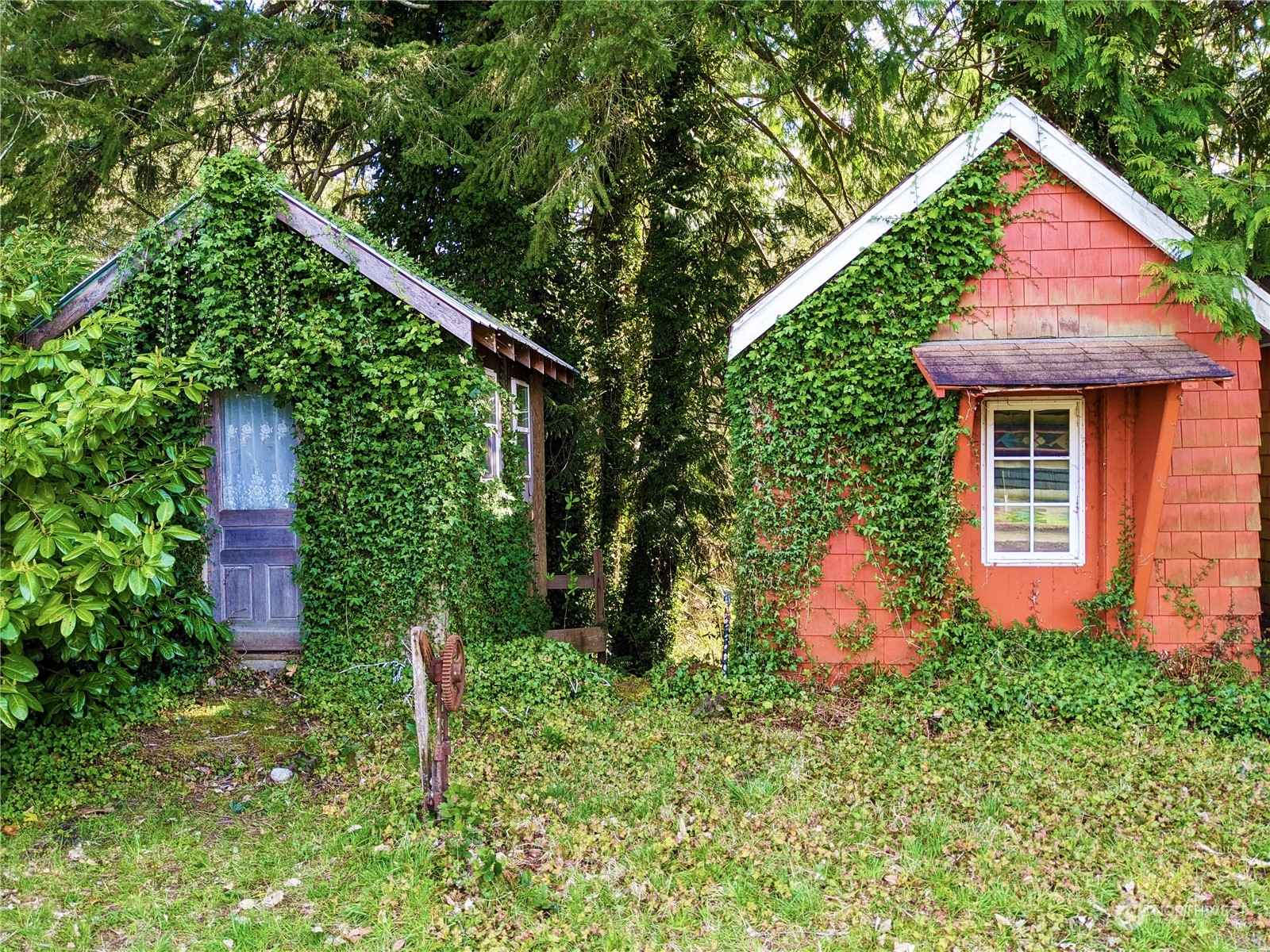 175 Dabob Post Office Road Quilcene, WA 98376 - Photo 26 of 40 a backyard of a house with lots of green space