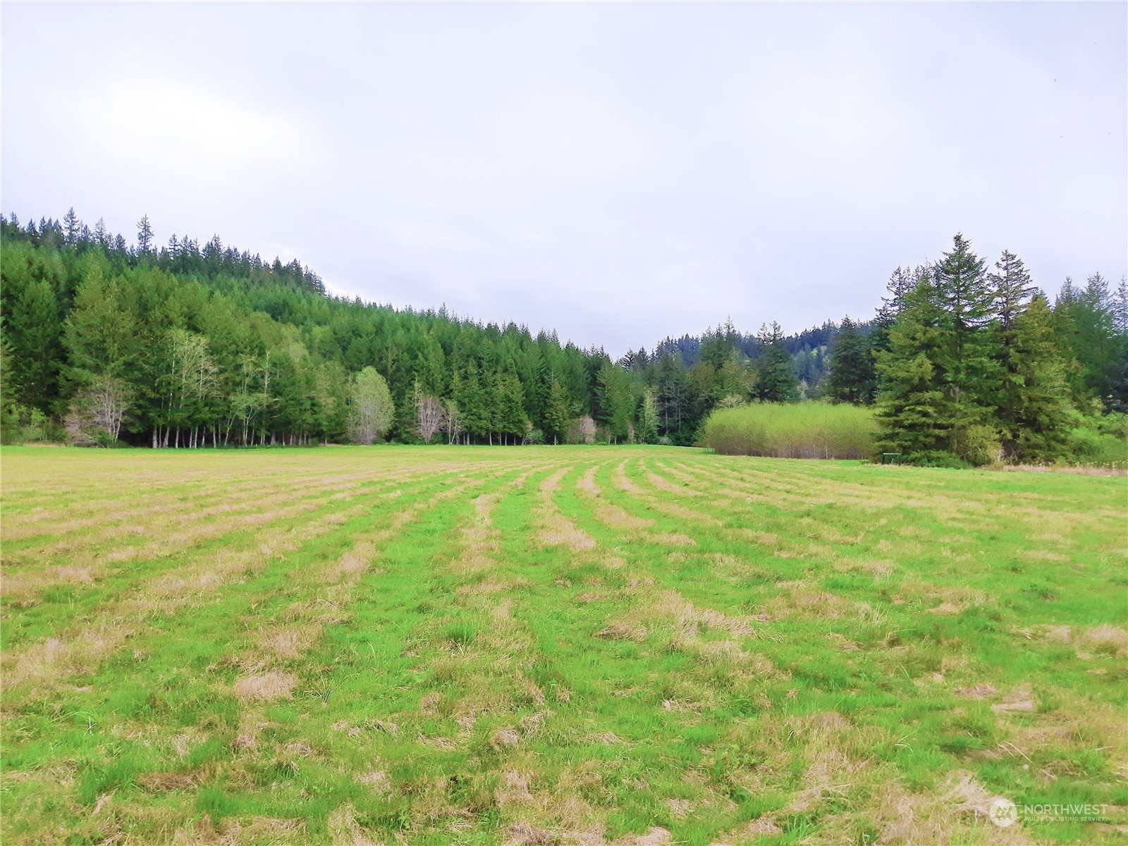 175 Dabob Post Office Road Quilcene, WA 98376 - Photo 33 of 40 a view of a garden