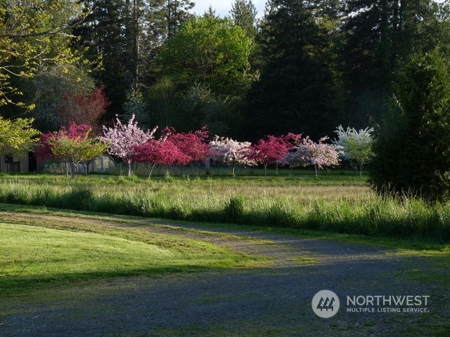 175 Dabob Post Office Road Quilcene, WA 98376 - Photo 39 of 40 a view of a lake from a yard