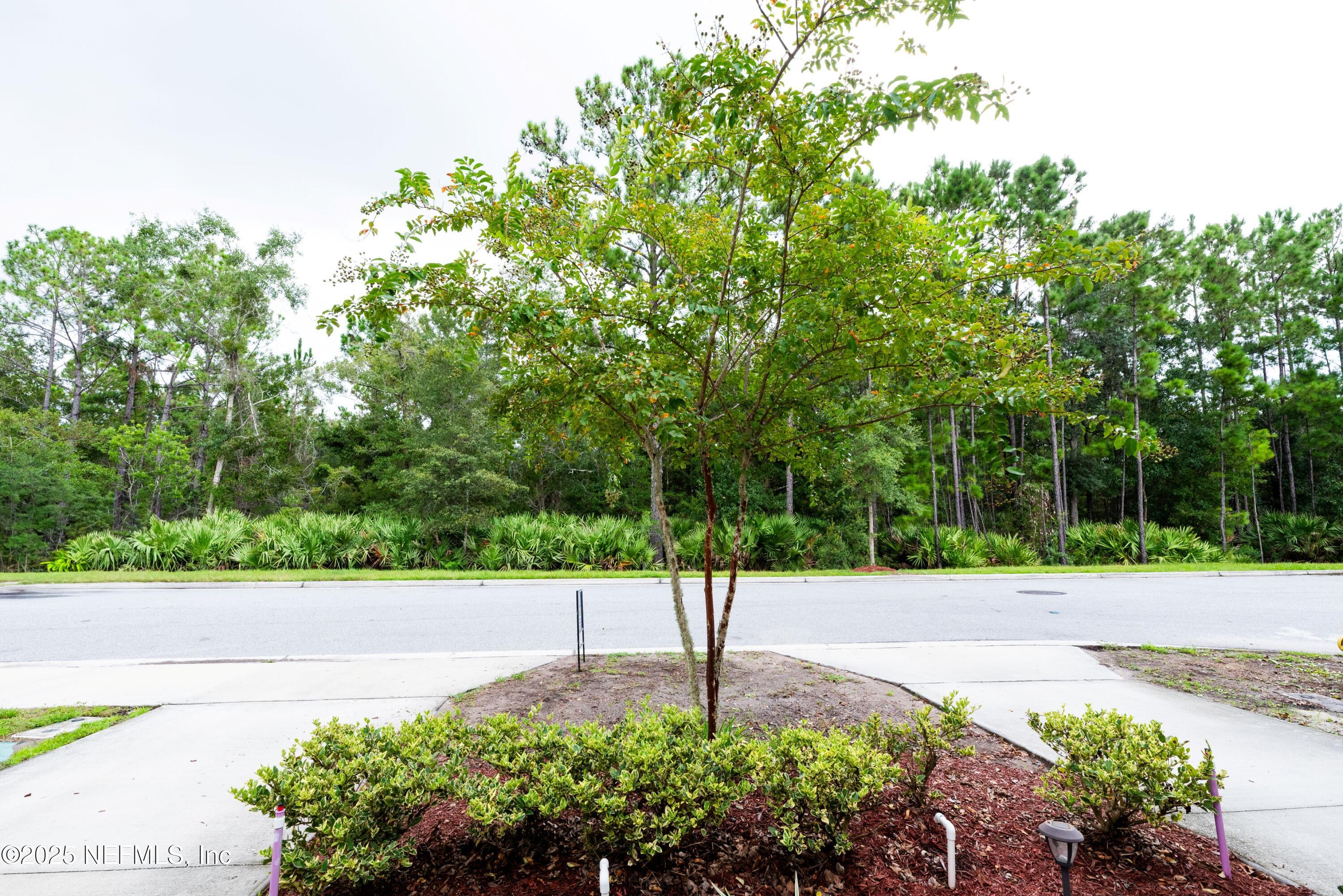 86990 Mainline Road Yulee, FL 32097 - Photo 17 of 17 a view of a street