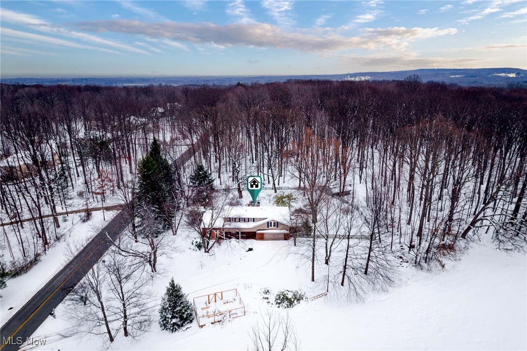 9513 Booth Road Willoughby, OH 44094 - Photo 30 of 45 View of snowy aerial view