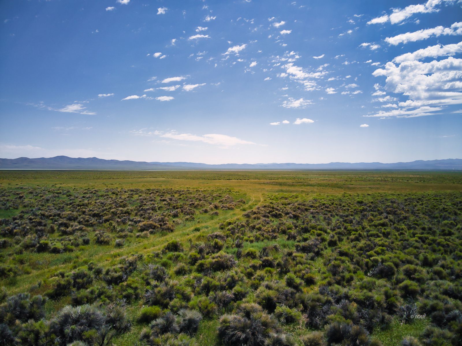 Cherry Creek Rd Wells Ely, NV 89301 - Photo 13 of 16